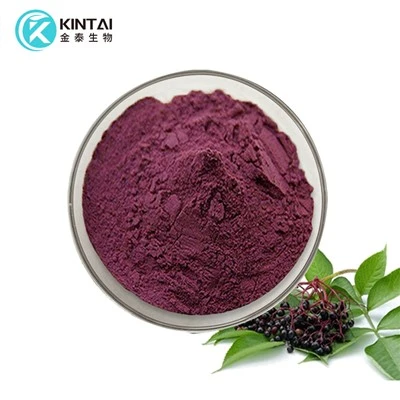 Elderberry extract powder Elderberry extract powder