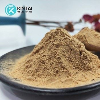 Rheum Rhaponticum Root Extract Desoxyrhaponticin pulver