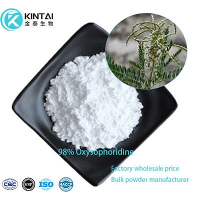 Oxysophoridin pulver